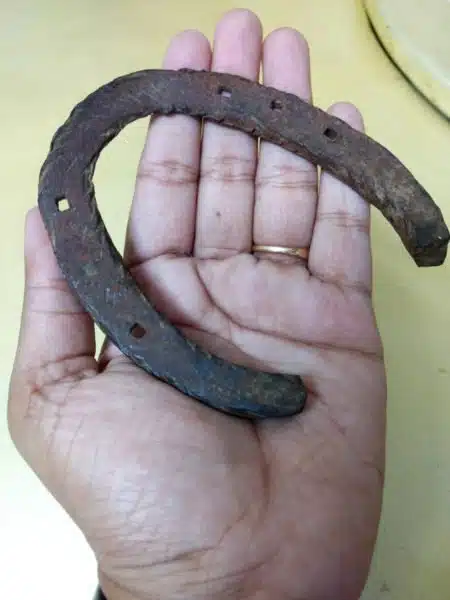 The horseshoe first belonged to Gajraj Singh Mahajan's grandfather.