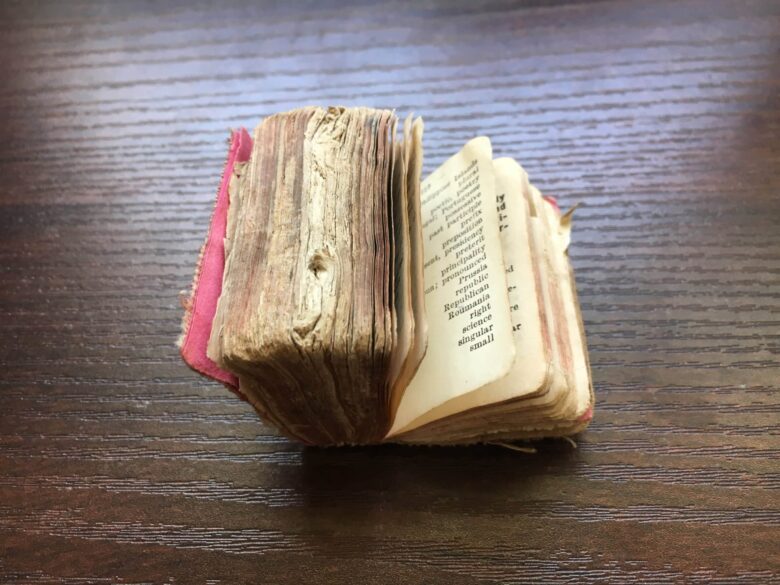 The Little Webster belonging to Bhavi's grandfather